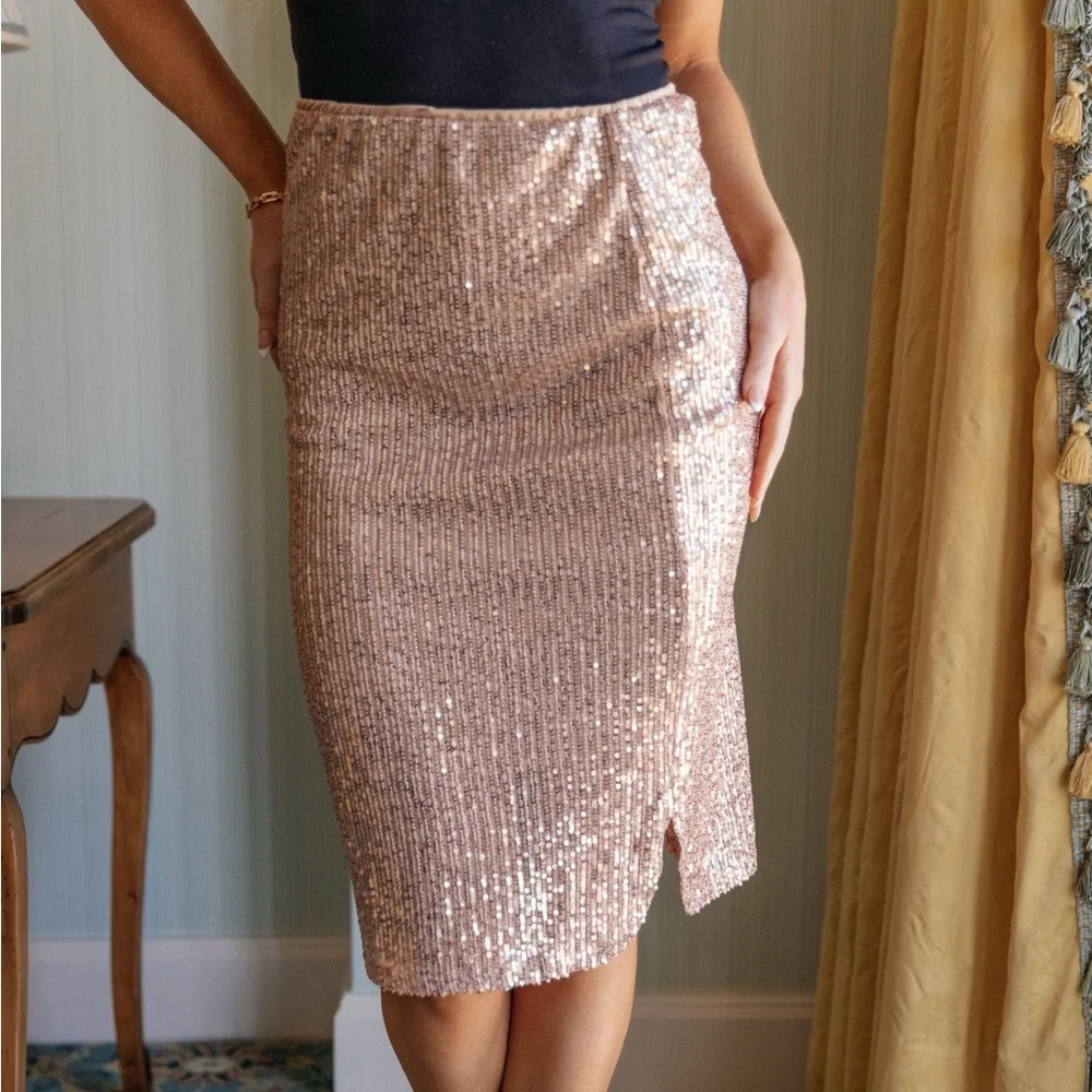Gilded Age Sequin Skirt in Champagne - Picture 6 of 8